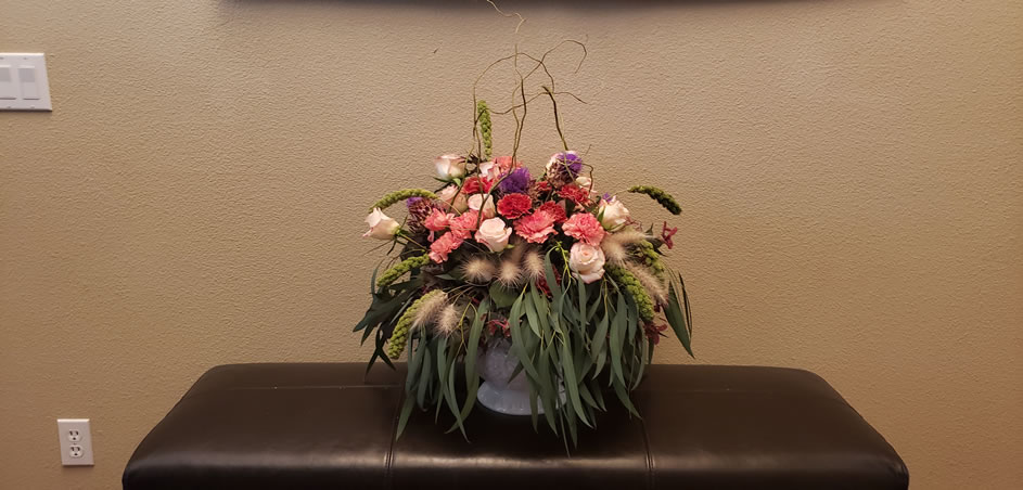 Foxtail Millet Curly Willow Japanese Maple Seeds Eucalyptus Carnation Rose Thistle Cardoon Feathertop